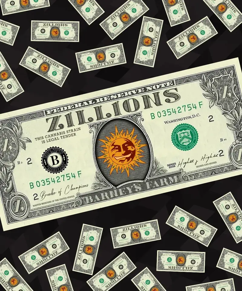 Zillions, Фасовка: 1, изображение 5